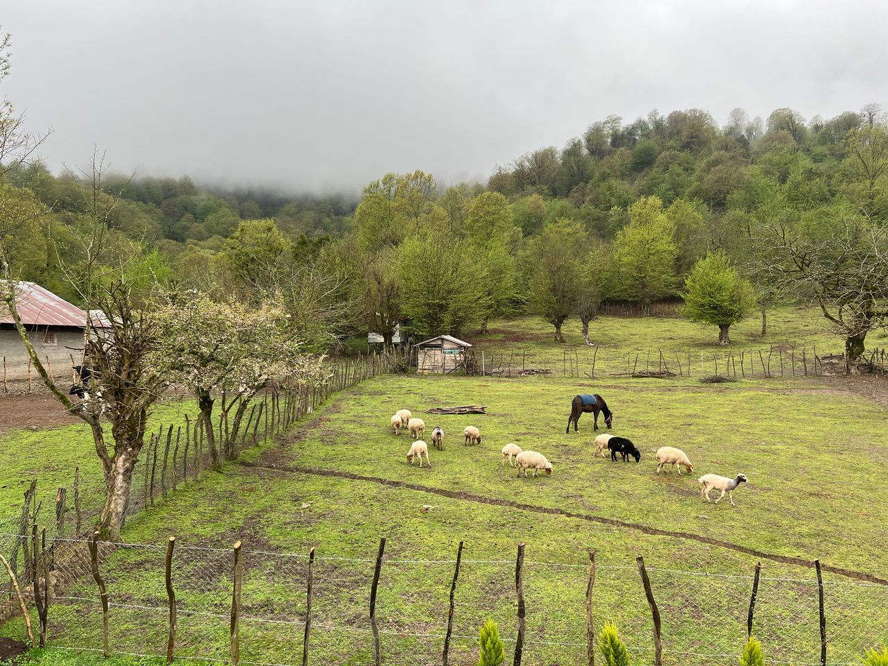 در اجاره ویلا استخردار گیلان ویلا در ماسال به چه وسایلی نیاز خواهید داشت؟