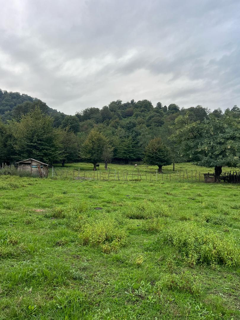 اقامتگاه شماره 3 اقامتگاه شماره 3